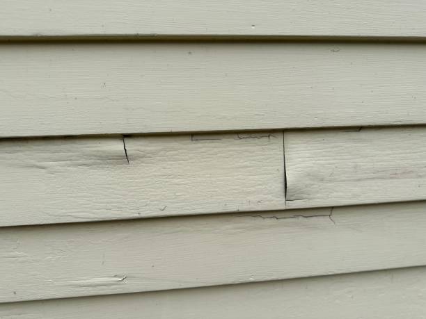 Best Storm Damage Siding Repair  in Hartford, MI