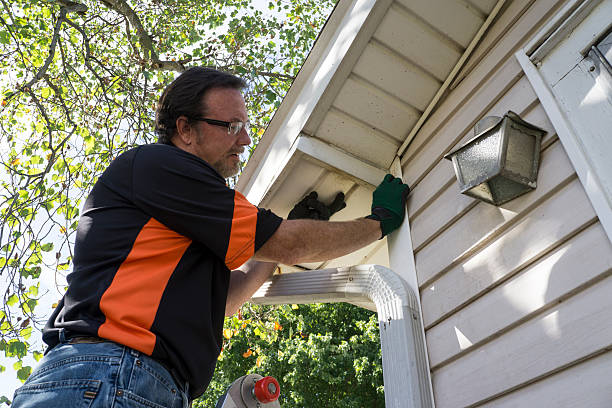 Best Insulated Siding Installation  in Hartford, MI